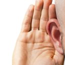 독일지멘스보청기 이미지