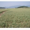 지리해수욕장 이미지