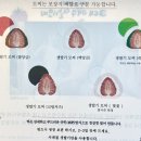 3대여수딸기모찌돌산 이미지