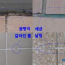 미드미가 이미지
