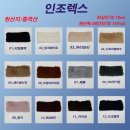 렉스 이미지