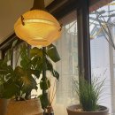 하이핏 헬스장 이미지