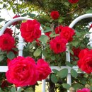 인천공촌초등학교 이미지