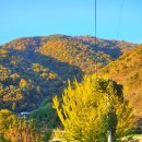 박달림3 이미지