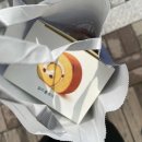 푸바오PC 이미지