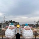 화랑설화마을 아기양 | 경북 영천 여행) 아이랑 가볼만한 체험테마파크 화랑설화마을, 근처맛집, 입장료, 주차장, 포토존