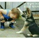 참 이미지