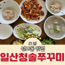 청솔칡냉면 | 덕양구 성사동 맛집 가족외식 추천 일산청솔쭈꾸미 칼국수 솔직후기