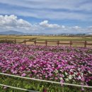 주남저수지 황토주차장 화장실 이미지