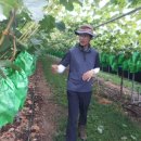 향기포도농원 이미지