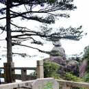 (주)천도국제