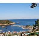 시골참순대 이미지