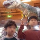 리드인독서학원 이미지