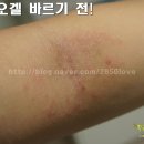 지케이유통 이미지
