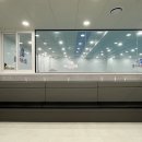 물개키즈스윔 이미지