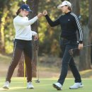 프로(166) 이미지