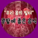 콩팥병이란 무엇인가 이미지