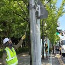 국채보상로 이미지