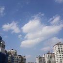 삼평중학교 옆 이미지