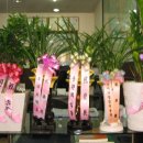 성광 공인중개사사무소 이미지