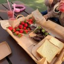 법흥새마을3교 | [육아체험] 내돈내산 푸딩도만들고 딸기한상도 차려주는 딸기체험농장 _해담농장