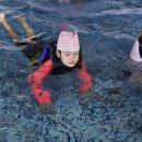 캠프도고 이미지