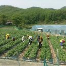 신덕면사무소 | 🏡 임실군 신덕면, 치즈 그림자 아래 숨겨진 진짜 시골 마을의 시간