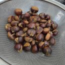 (주)오성레저상사 | 선물받은 산밤 신랑이 까줬다! 먹으면서 아는 배우가 출연하는 &#39;백번의 추억&#39; 시청하기 - 소확행