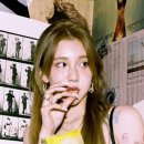 멍멍왈왈 이미지