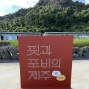 핏과포비의제주