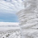 제주궁전 이미지