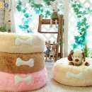 아페토 치킨과 쌀 &amp; 연어와 쌀 오리지널 퍼스트 사료 - 당첨자 명단