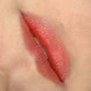 펄미에이트 이미지