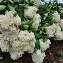 북한강펜션 이미지