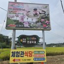 강내연꽃마을 이미지