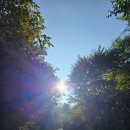 제133회차. 7월. 정기산행 제천/원주 감악산 정상 (일출봉. 945m) 이미지