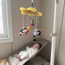 꿈나라 - 구로구 | ((내돈내산)) 타이니모빌 대신 친절하고 빠른 A/S 가능한 육아템 꿈나라모빌 내돈내산 후기