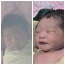 로즈마리 | 로즈마리 병원 제왕절개 후기 1탄 (6박7일 입원, 1인실)