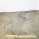 동물에반하다동물병원 이미지