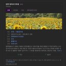 태백농원 | 국내여행지 추천 꽃구경 명소 당일치기 가볼만한곳