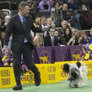 도그클럽 이미지