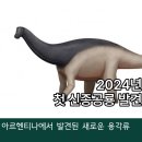 에이스텍 | 시데르사우라 마라에: 2024년 첫 번째 신종 공룡 등장!