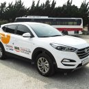 신화인터내쇼날