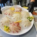 오대양회집 | 속초 애견동반 오션뷰 맛집 오대양 속초 조양동 횟집