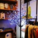 젤리즈펫 이미지