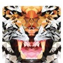 Geometric  이미지