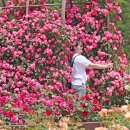 임실치즈테마파크3 이미지