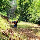 우식농장 이미지