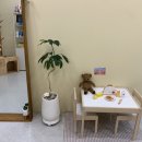 댕큐베리 이미지