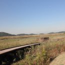 감골공원길 이미지